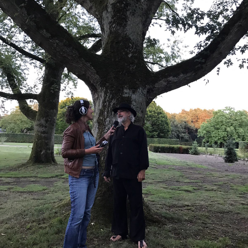 Bomenconcert in Bergeijk