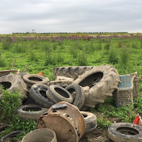 Drooggevallen natuur blijkt vuilnisbelt