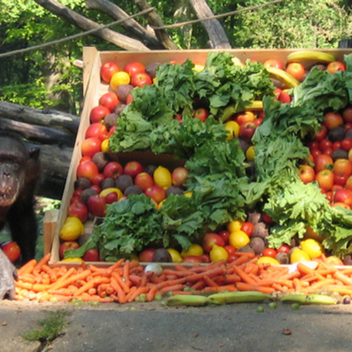 Jan van Hooff over de chimpanseeonderzoekster Jane Goodall