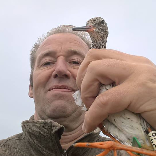 Slotstuk: Wel en wee van de tureluurs