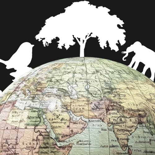 WWF vraagt premier Rutte: 'Neem het voortouw om natuurvernietiging te stoppen'