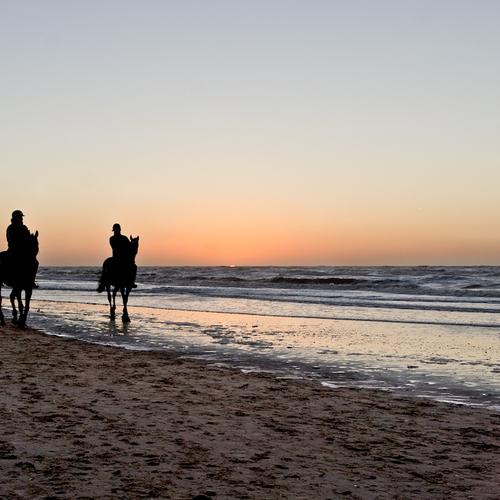 Strand en heide maakt een Nederlander het gelukkigst