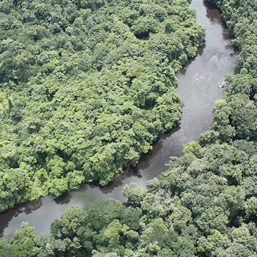 Afbeelding van Amazone loopt het risico om 'in te storten'