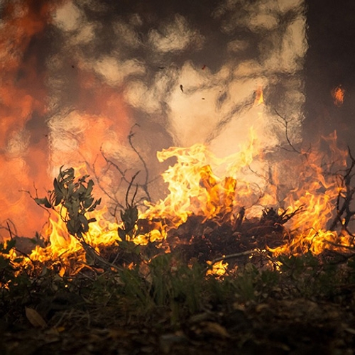 Door neerslagtekort stijgt de kans op natuurbranden
