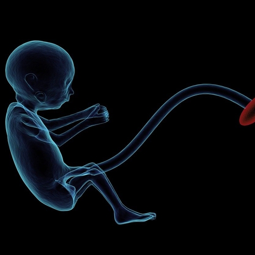 Microplasticdeeltjes ontdekt in placenta’s van ongeboren baby’s