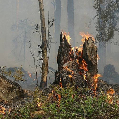 Brandweer start verkenningsvluchten tegen natuurbranden Veluwe