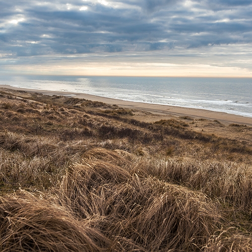 Den Haag wil status Nationaal Park voor Hollandse Duinen