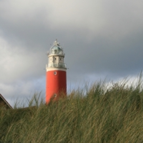 Verdwenen waddenviltbij teruggevonden op Texel