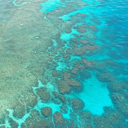 Gigantisch hoog koraalrif ontdekt bij Australië