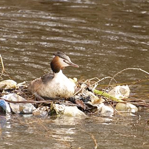 Recordaantal stukken afval uit rivier gevist: 210.000