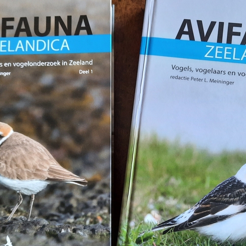 Alles wat je wil weten over Zeeuwse vogels: de Avifauna Zeelandica