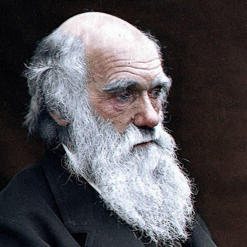 Notitieboekjes Charles Darwin na twintig jaar terecht