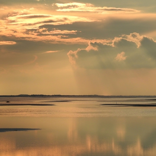 Klonters paraffine vervuilen stranden Schiermonnikoog en Ameland