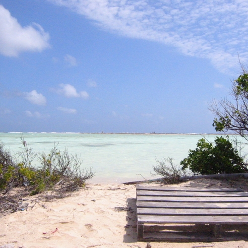 Jetten wil op Bonaire hard aan de slag voor klimaatverandering