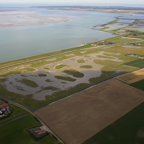 'Bijna alle Nederlanders willen natuur als onderdeel van herstel'