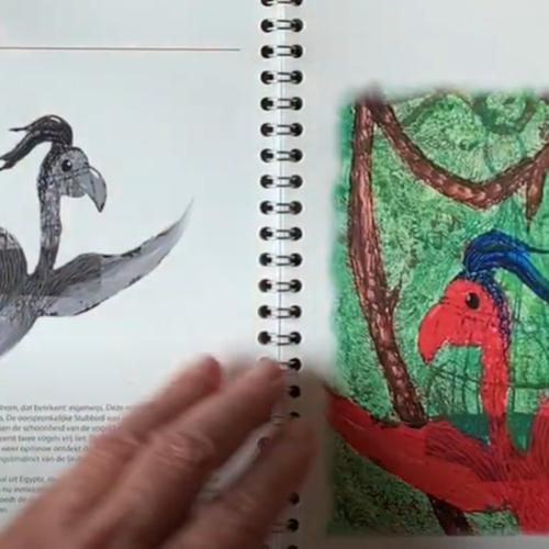 Voor de echte vogelaar: de Zelfverzonnen vogelveldgids