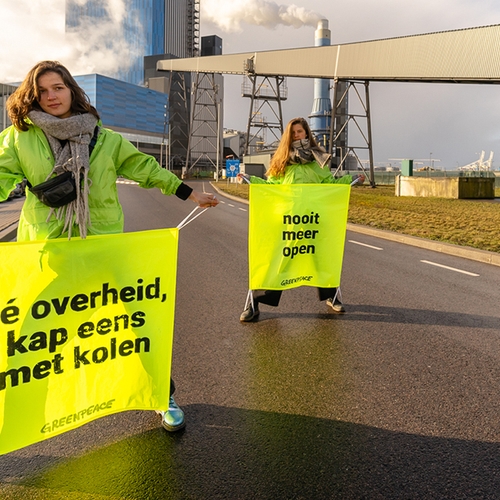 Actievoerders ketenen zich vast aan graafmachines Lutkemeerpolder