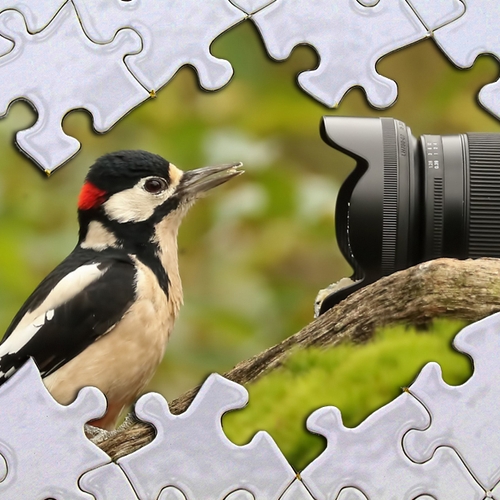 Win een puzzel van je mooiste natuurfoto | Fotowedstrijd