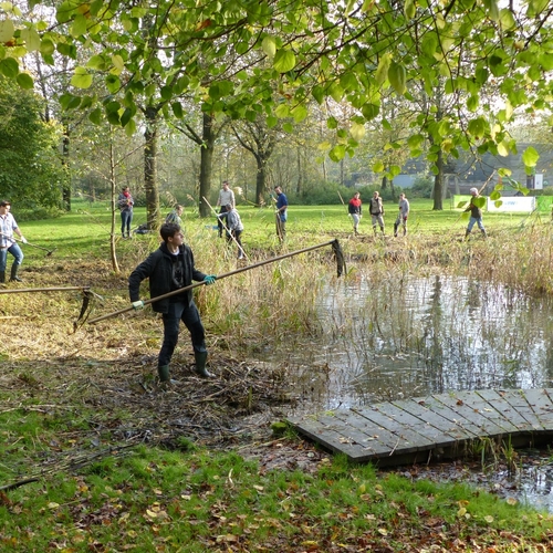 Honderden klussen in de natuur in heel Nederland op Natuurwerkdag
