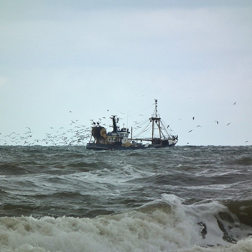Europees Parlement wil vissersschepen in de gaten houden met camera's