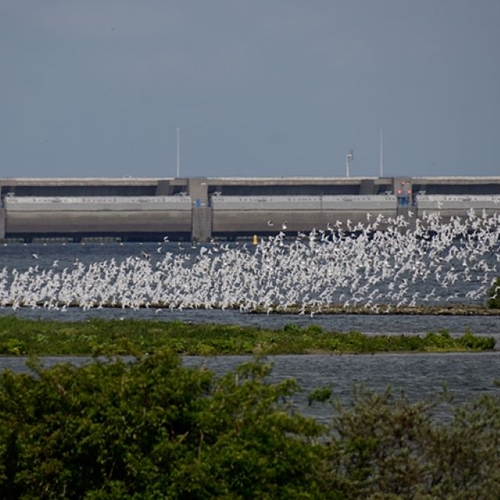 Hoogwater: Haringvlietsluizen op een kier