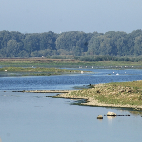 Maas voerde 100 keer zoveel water af als in 2020