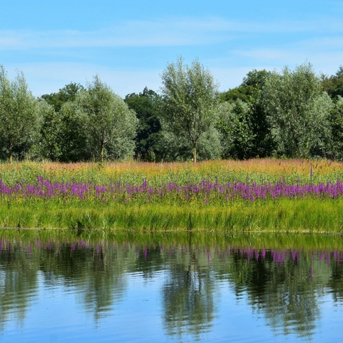 Provincie Gelderland investeert 6,9 miljoen in natuurherstel