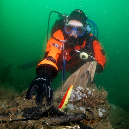 Duikers ruimen 5.700 kilo aan visnetten op in de Noordzee