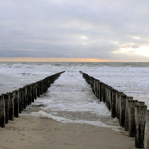 Afbeelding van Spitssnuitdolfijn gespot voor Nederlandse kust