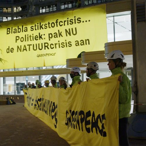Afbeelding van Actievoerders Greenpeace vragen aandacht voor de natuurschade door stikstof.