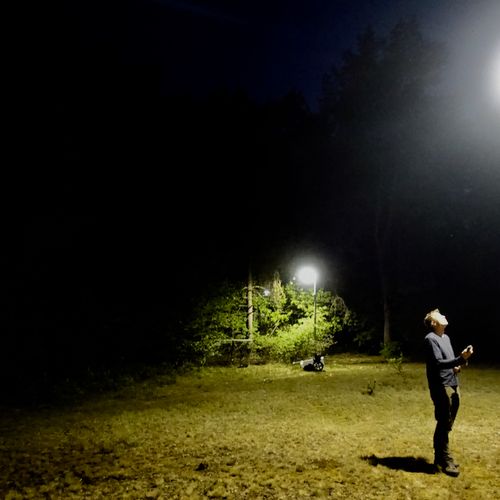 Afbeelding van Vleermuizen hebben last van licht (of toch niet?)