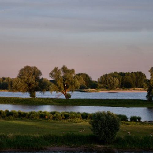 Afbeelding van Rijkswaterstaat en Staatsbosbeheer gaan samen de uiterwaarden beheren