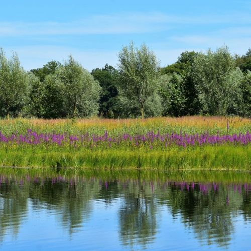 Afbeelding van Provincie Gelderland investeert 6,9 miljoen in natuurherstel