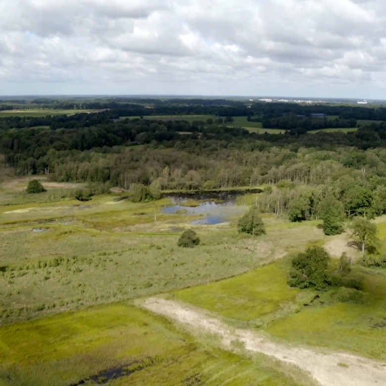 Afbeelding van Vroege Vogels TV | 22 september 2024 | Aamsveen en Witte Veen