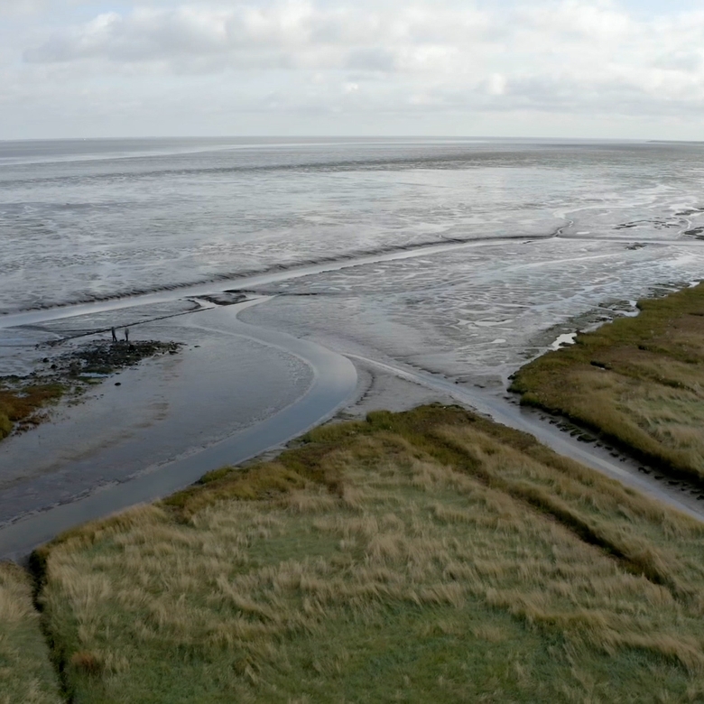 Afbeelding van Vroege Vogels TV | 17 november 2024 | Peazemerlannen