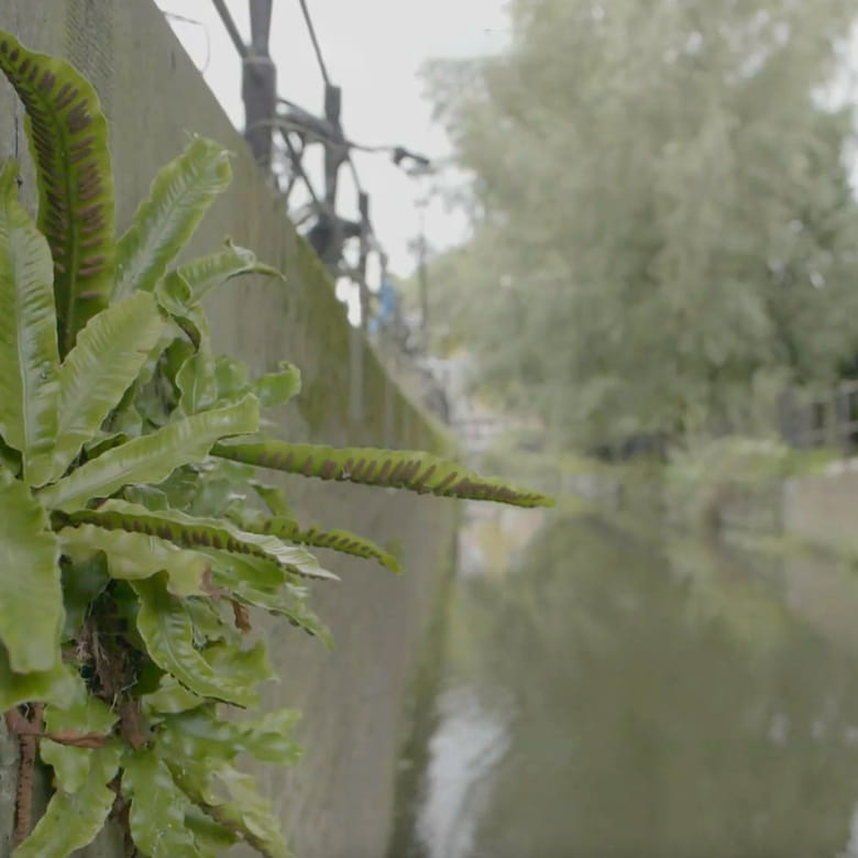 Afbeelding van TV | 12 november 2021 | Natuurlijk Utrecht