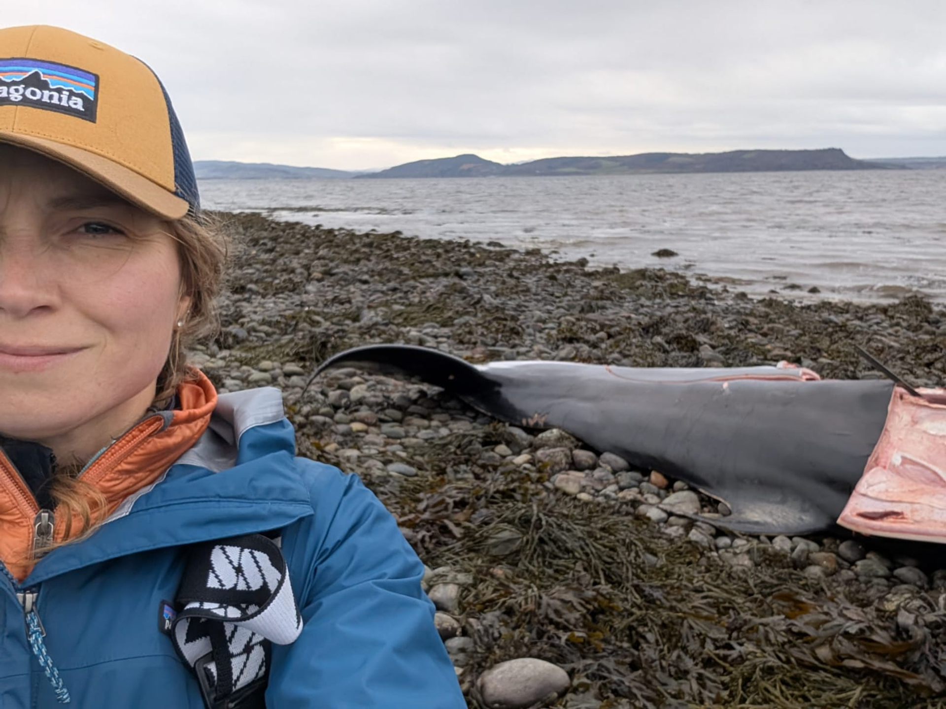 WhatsApp Image 2025-11-17 at 13.58.31_51d6c171